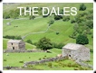 DALES YK